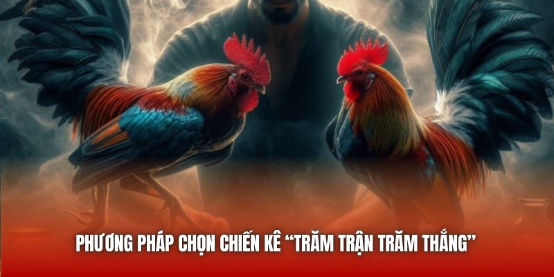 Phương pháp chọn chiến kê “trăm trận trăm thắng”